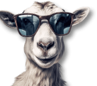 Goat